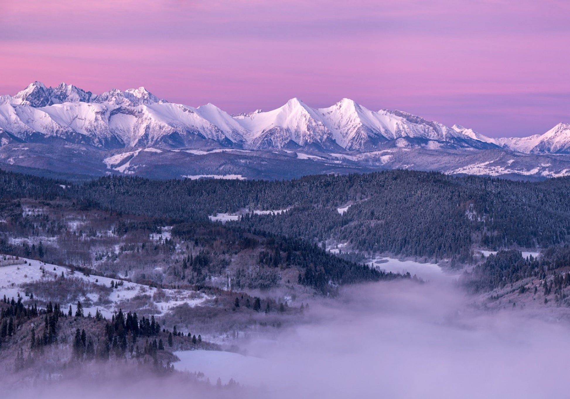 Purple Mountain Dawn
