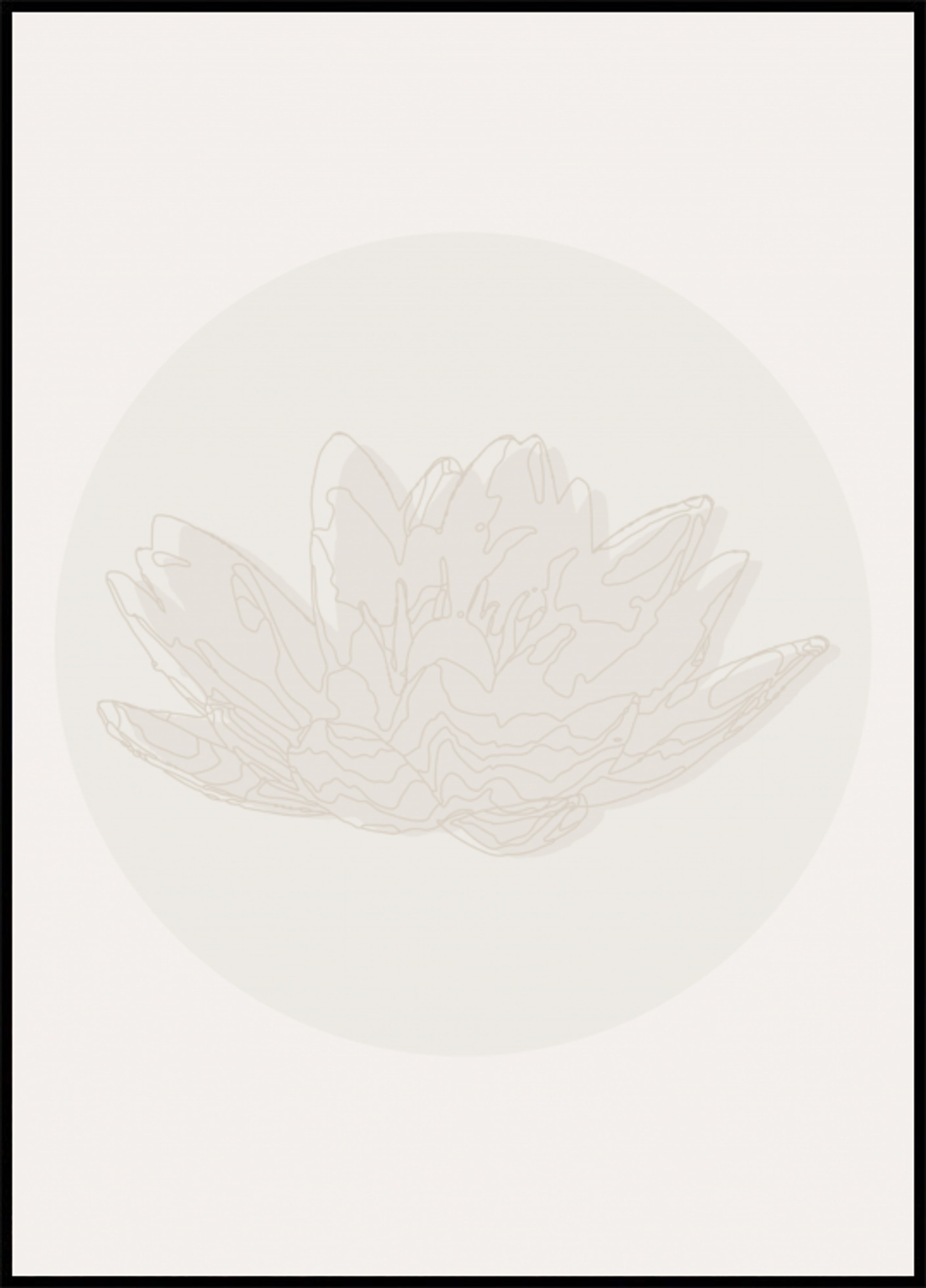 Serene Lotus Flower