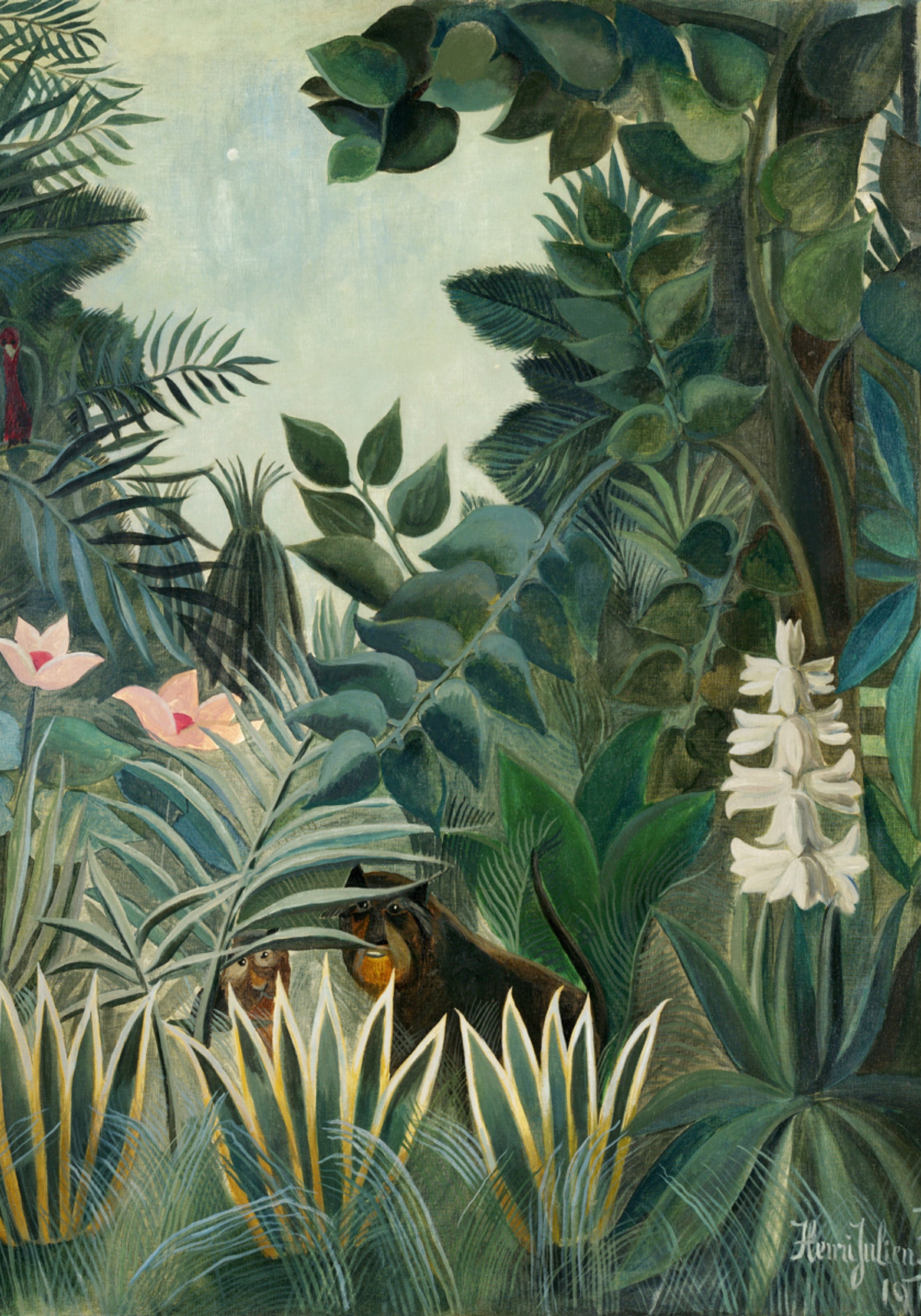 The Equatorial Jungle