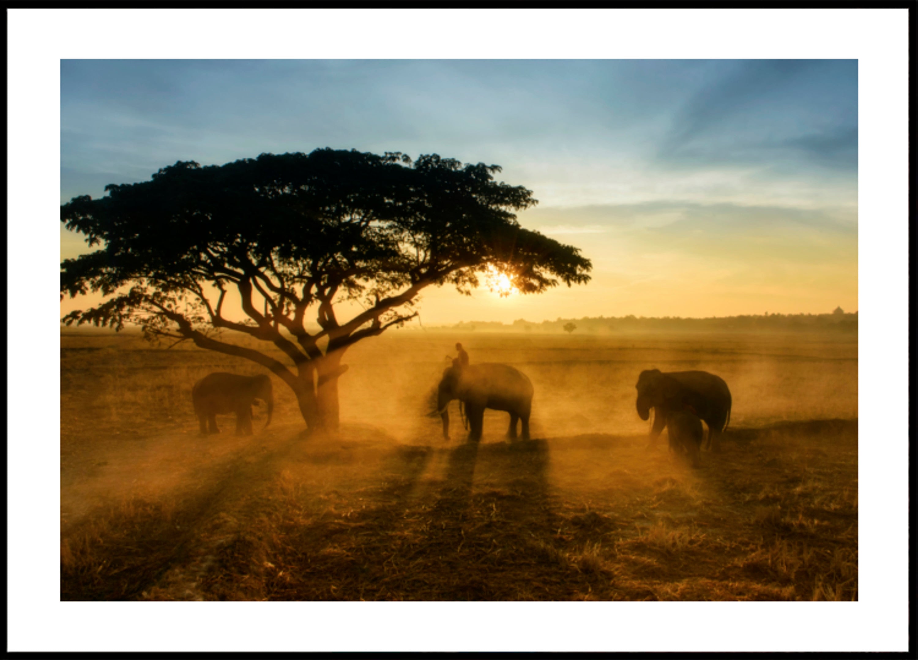 Elephant's Golden Sunset