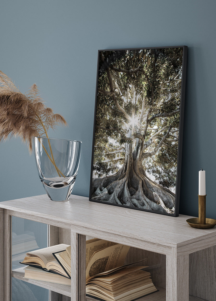 Tree with Large Roots Poster - Posterbox.dk