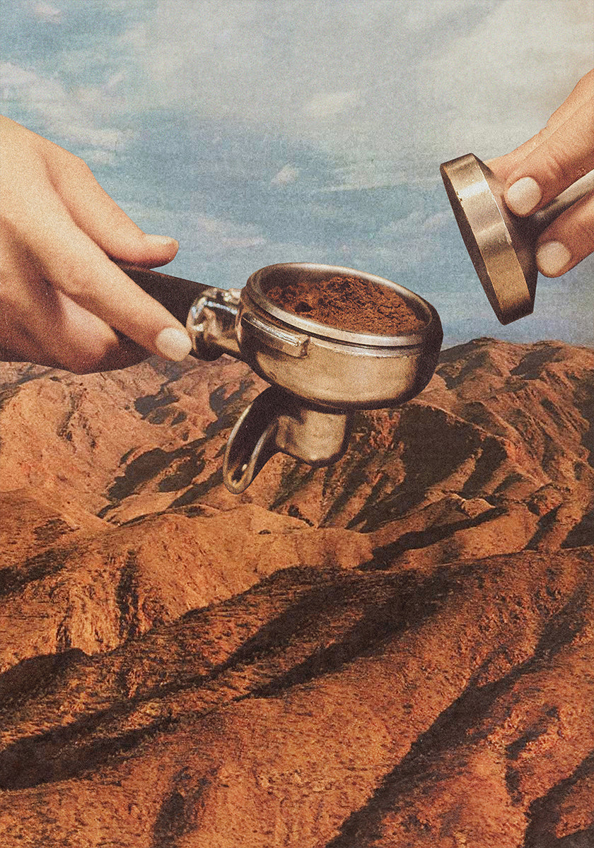 Barista Coffee County Plakat - Posterbox