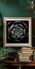 Sempervivum Rosette Plakat - Posterbox