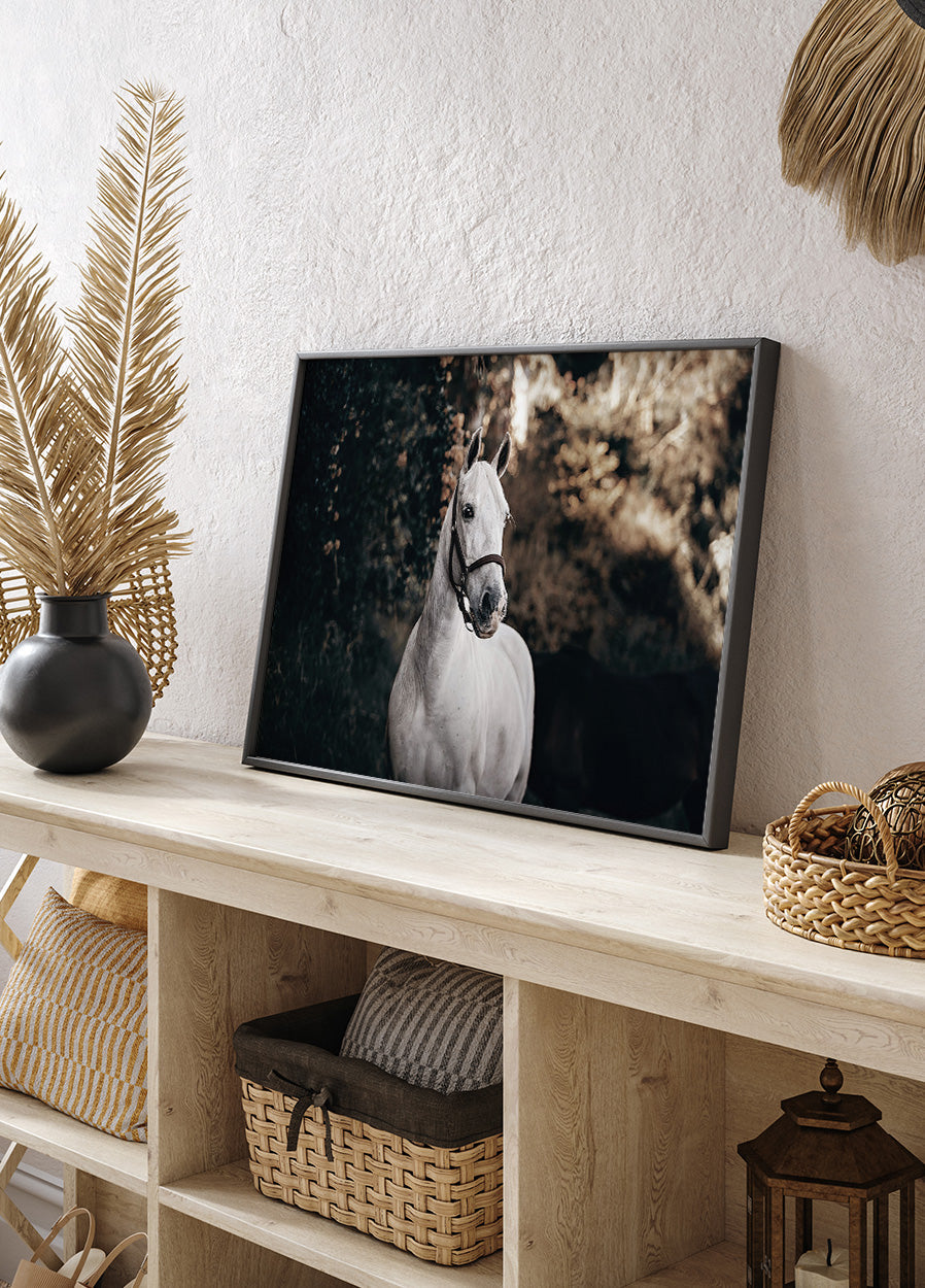 White Horse Poster - Posterbox.dk