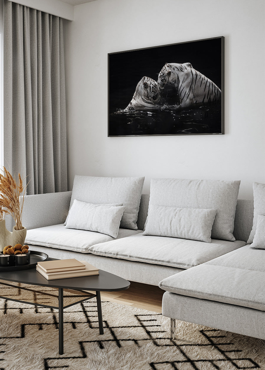 White Tigers in The Water Poster - Posterbox.dk