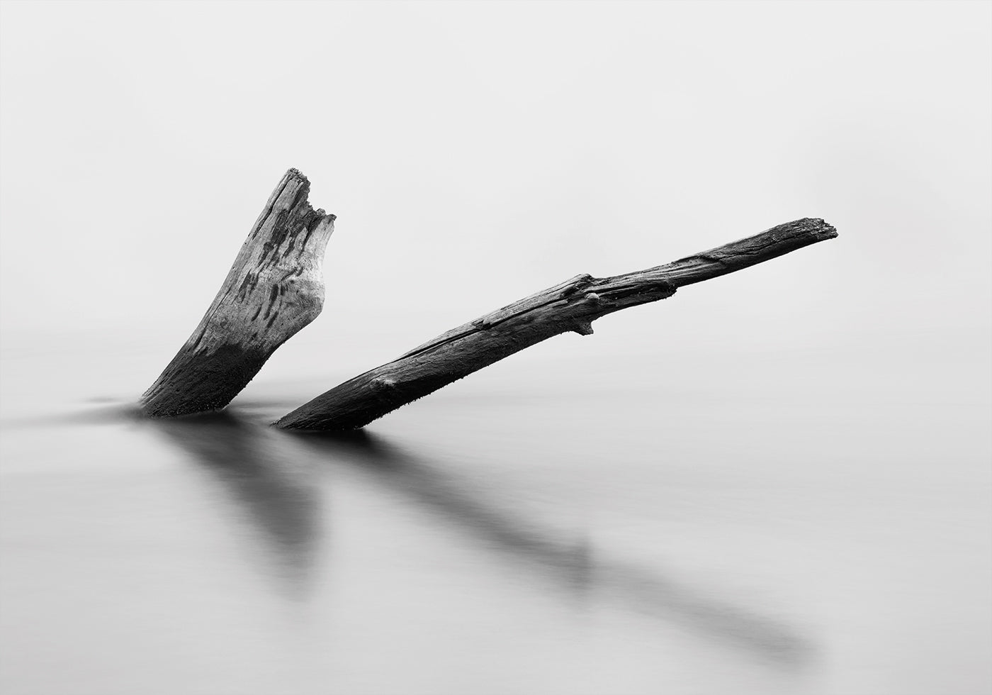 Wooden Log In The Water Poster - Posterbox.dk